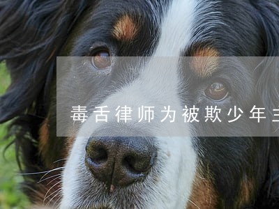 毒舌律师为被欺少年主持公道