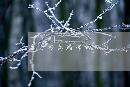 毒舌的离婚律师江淮 毒舌的离婚律师江淮