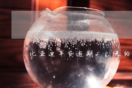 比亚迪车贷逾期20天的后果 比亚迪车贷逾期20天的后果