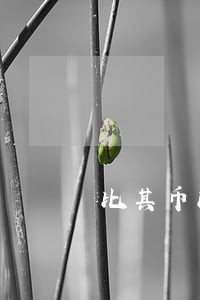比其币比其币违法吗