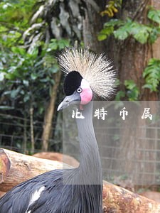比特币属于违法吗