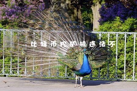 比特币挖矿机违法不