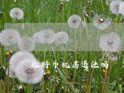 比特币机房违法吗