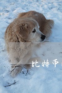 比特币民法百度