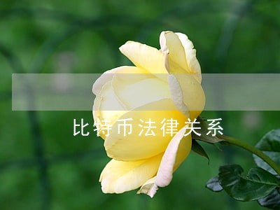 比特币法律关系
