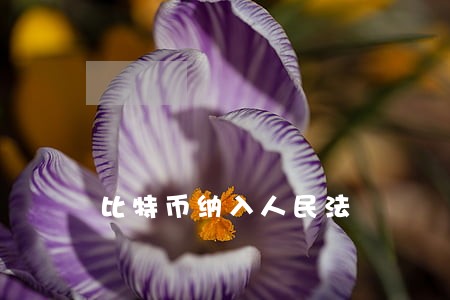 比特币纳入人民法 比特币纳入人民法