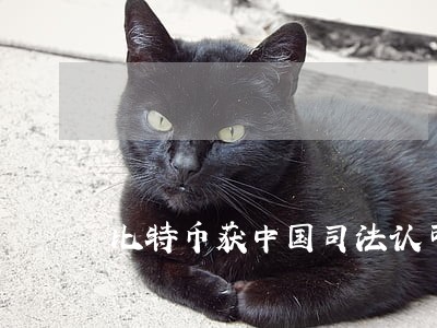比特币获中国司法认可