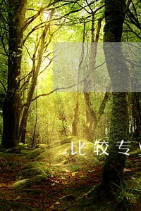 比较专业的房产纠纷律师收费 比较专业的房产纠纷律师收费