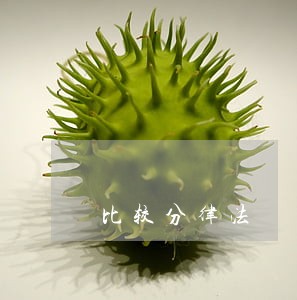 比较分律法 比较分律法