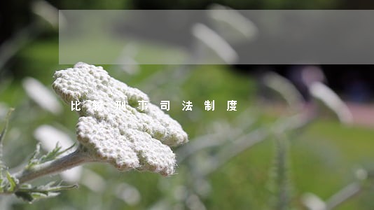 比较刑事司法制度 比较刑事司法制度