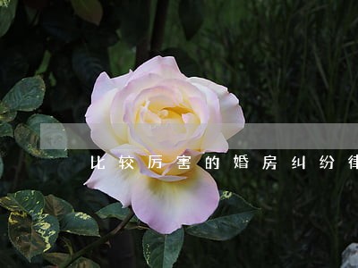 比较厉害的婚房纠纷律师收费 比较厉害的婚房纠纷律师收费