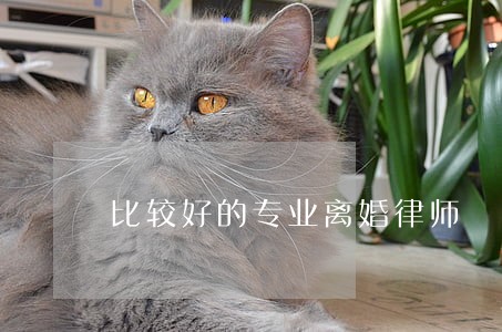 比较好的专业离婚律师 比较好的专业离婚律师
