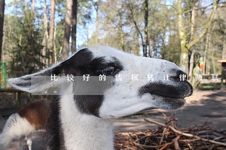 比较好的债权转让律师联系方式 比较好的债权转让律师联系方式