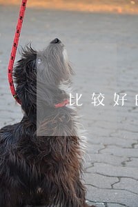 比较好的合同纠纷律师 比较好的合同纠纷律师