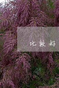 比较好的建筑案件律师多少钱 比较好的建筑案件律师多少钱