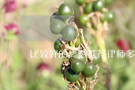 比较好的离婚推荐律师多少钱 比较好的离婚推荐律师多少钱