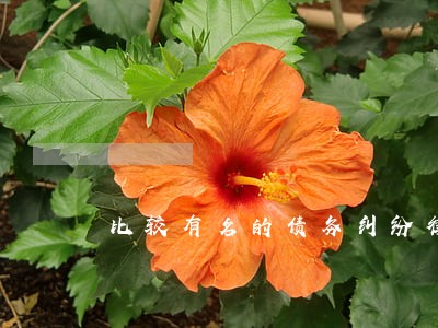 比较有名的债务纠纷律师推荐 比较有名的债务纠纷律师推荐