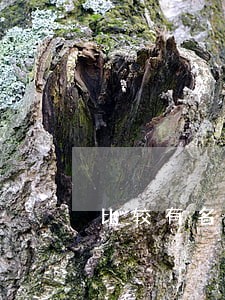 比较有名的离婚房产律师事务所 比较有名的离婚房产律师事务所