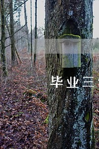 毕业三年网贷逾期十万 毕业三年网贷逾期十万