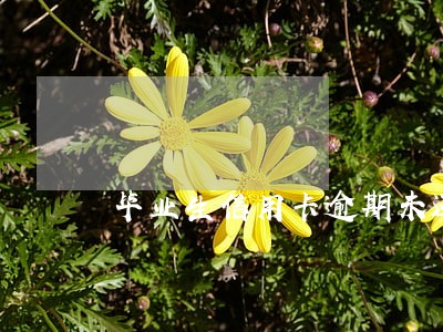 毕业生信用卡逾期未还