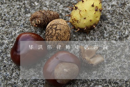 毕洪伟律师电话咨询 毕洪伟律师电话咨询