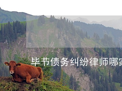 毕节债务纠纷律师哪家专业 毕节债务纠纷律师哪家专业