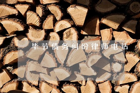毕节债务纠纷律师电话 毕节债务纠纷律师电话