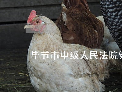 毕节市中级人民法院党组成员 毕节市中级人民法院党组成员