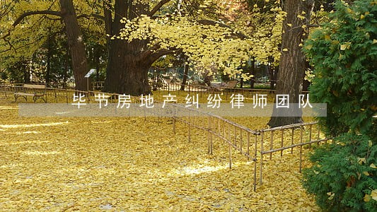 毕节房地产纠纷律师团队 毕节房地产纠纷律师团队