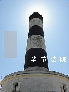 毕节法院保护生态环境工作纪事 毕节法院保护生态环境工作纪事