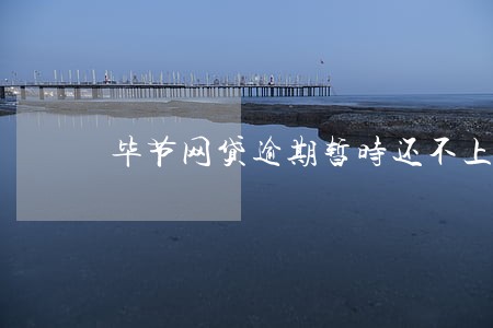 毕节网贷逾期暂时还不上怎么办 毕节网贷逾期暂时还不上怎么办