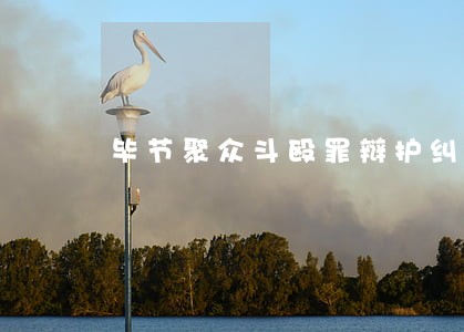 毕节聚众斗殴罪辩护纠纷律师 毕节聚众斗殴罪辩护纠纷律师
