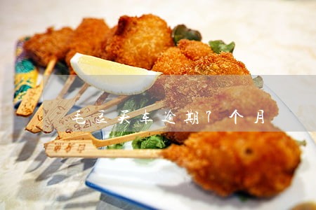 毛豆买车逾期7个月 毛豆买车逾期7个月