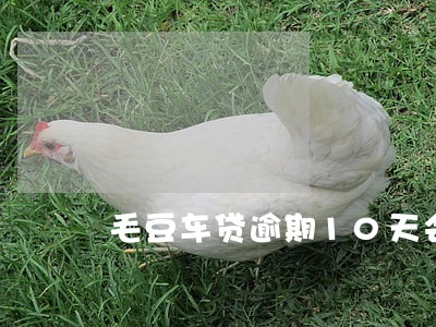 毛豆车贷逾期10天会不会拖车 毛豆车贷逾期10天会不会拖车