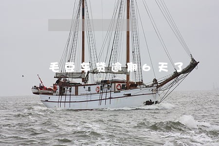 毛豆车贷逾期6天了 毛豆车贷逾期6天了