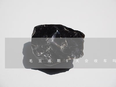毛豆逾期5天会收车吗