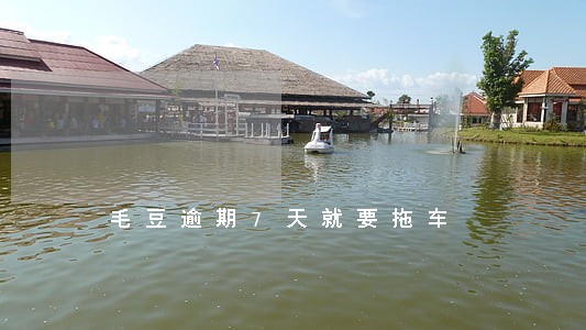 毛豆逾期7天就要拖车