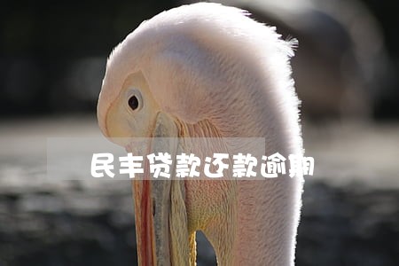 民丰贷款还款逾期