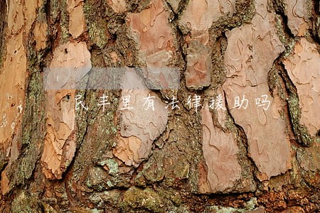 民丰里有法律援助吗 民丰里有法律援助吗