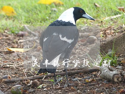 民丰银行贷款逾期 民丰银行贷款逾期