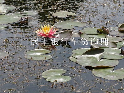 民丰银行车贷逾期一天 民丰银行车贷逾期一天