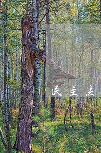 民主法治示范村制度专题模板 民主法治示范村制度专题模板