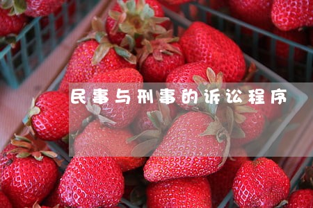 民事与刑事的诉讼程序 民事与刑事的诉讼程序