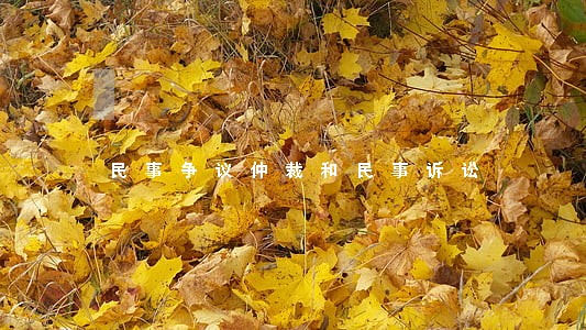 民事争议仲裁和民事诉讼 民事争议仲裁和民事诉讼