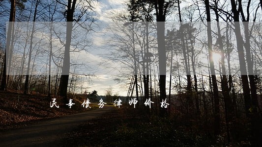 民事债务律师价格 民事债务律师价格