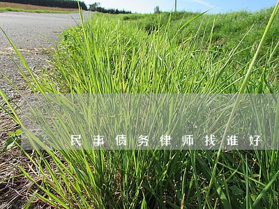民事债务律师找谁好 民事债务律师找谁好