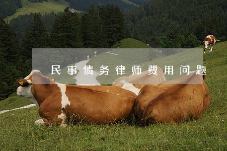 民事债务律师费用问题 民事债务律师费用问题
