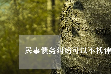 民事债务纠纷可以不找律师吗 民事债务纠纷可以不找律师吗