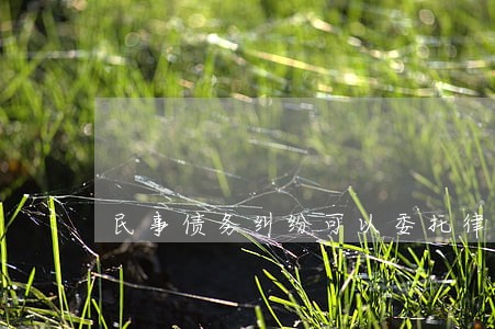 民事债务纠纷可以委托律师去吗 民事债务纠纷可以委托律师去吗