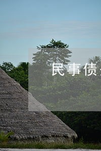 民事债务纠纷律师函模板 民事债务纠纷律师函模板